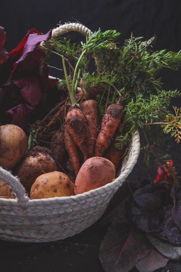 Agriturismo Osteria Du Barba Pe' - Casa Cassini Bordighera Kültér fotó