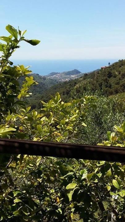 Agriturismo Osteria Du Barba Pe' - Casa Cassini Bordighera Kültér fotó