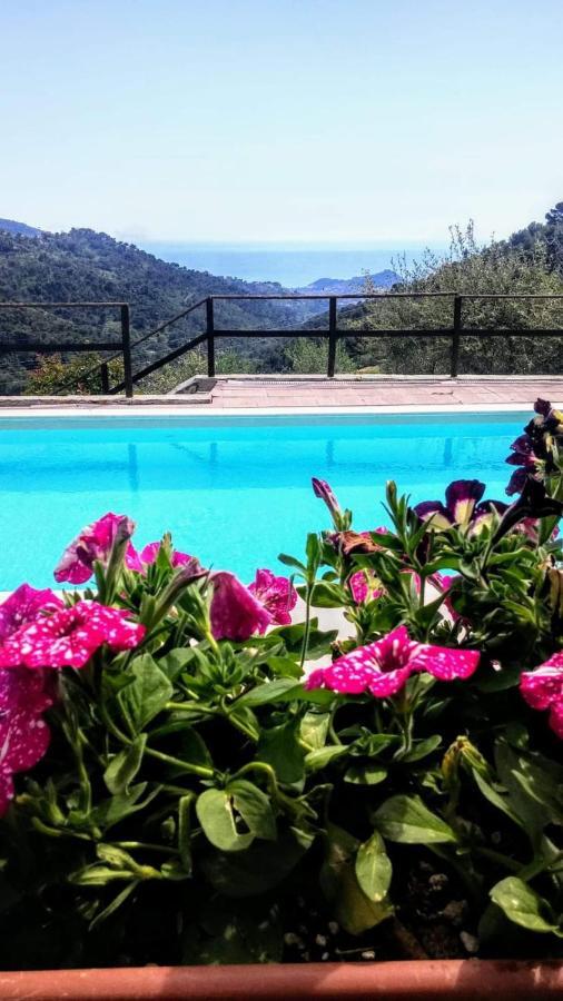 Agriturismo Osteria Du Barba Pe' - Casa Cassini Bordighera Kültér fotó